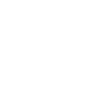 bluenest logo